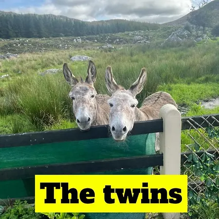 The Mountain View Log , Attymass Ballina Boyhollagh