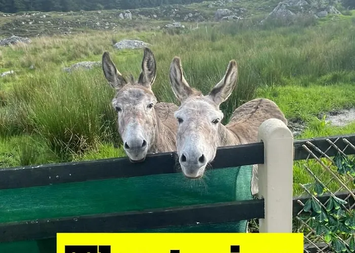 The Mountain View Log , Attymass Ballina Boyhollagh