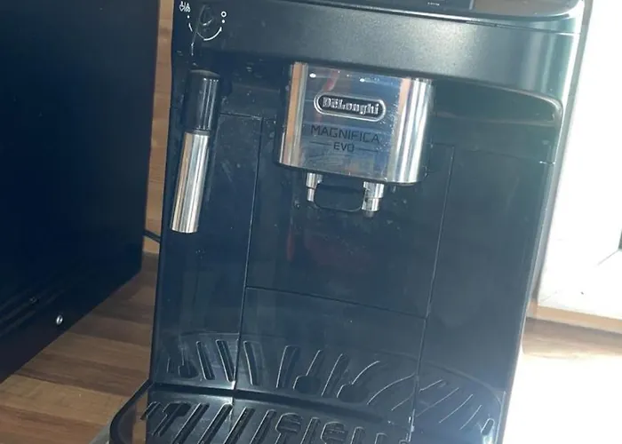 The Mountain View Log , Attymass Ballina